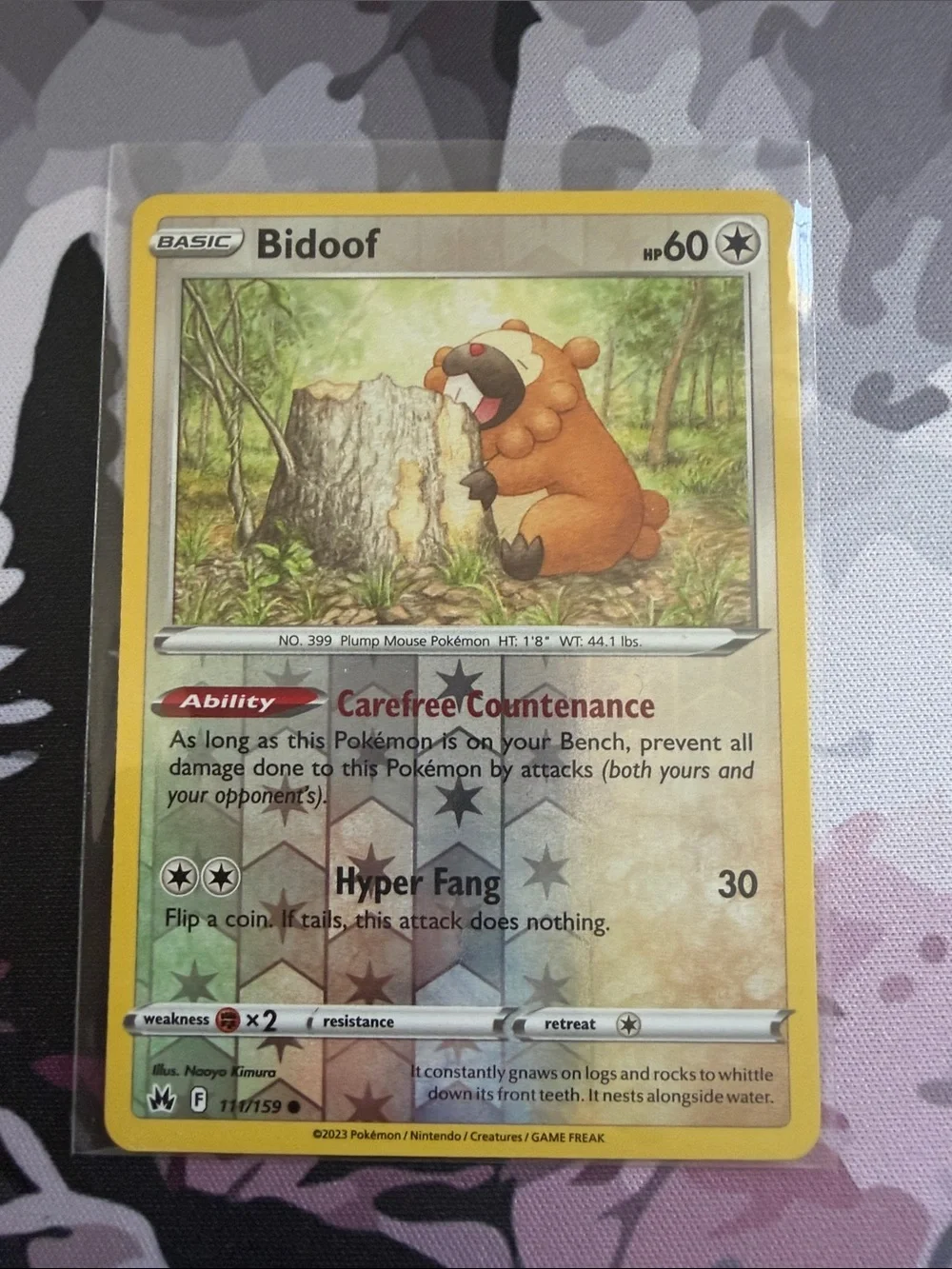🦫 Bidoof & Bibarel Evolution Pokémon Card Lot | 2 Reverse Holo Cards ✨5/$25✨